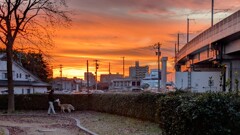 夕焼けさんぽ
