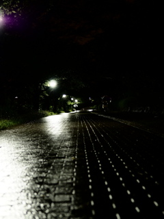 雨の夜道