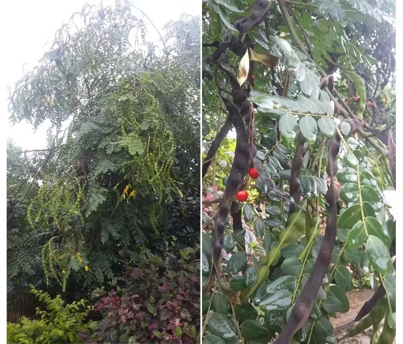 O1CN01KytA3l1UDiT1EtFVs_!!580052484