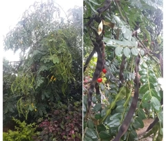 O1CN01KytA3l1UDiT1EtFVs_!!580052484