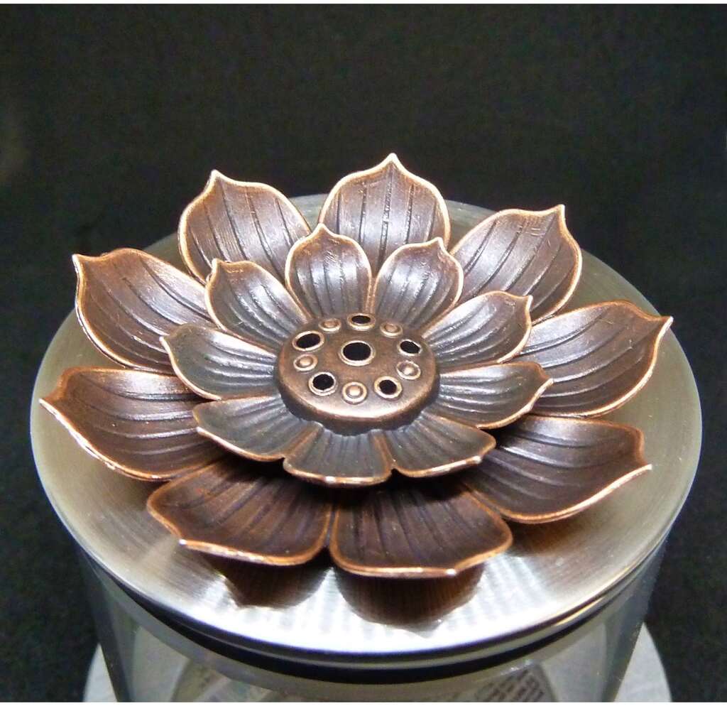 P1020260neonewHAKU-min