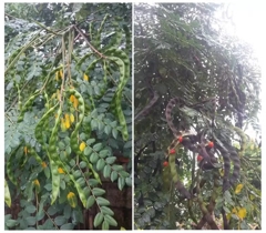 O1CN01ND5m1T1UDiT1EvSjC_!!580052484