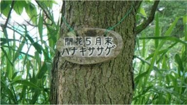 139130792_org.v1674082829