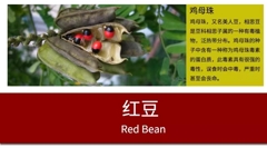 O1CN016Z7J101UDiSzG36vu_!!580052484