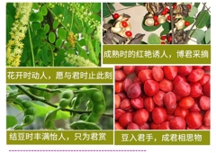 O1CN01gaAUTh1UDiSvF6lEr_!!580052484