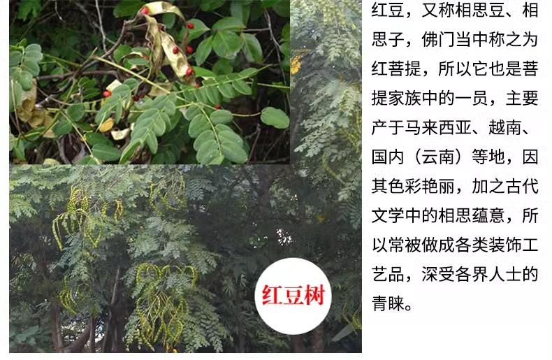 O1CN01l1ixGV1UDiSuk1KDC_!!580052484