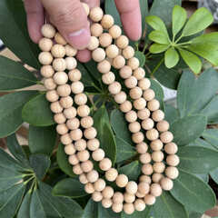 O1CN01K1AvHe1bpSlvAIw9n_!!1790103514