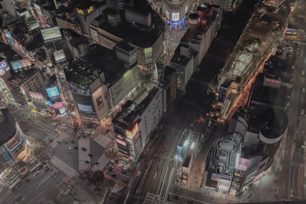 渋谷の夜景
