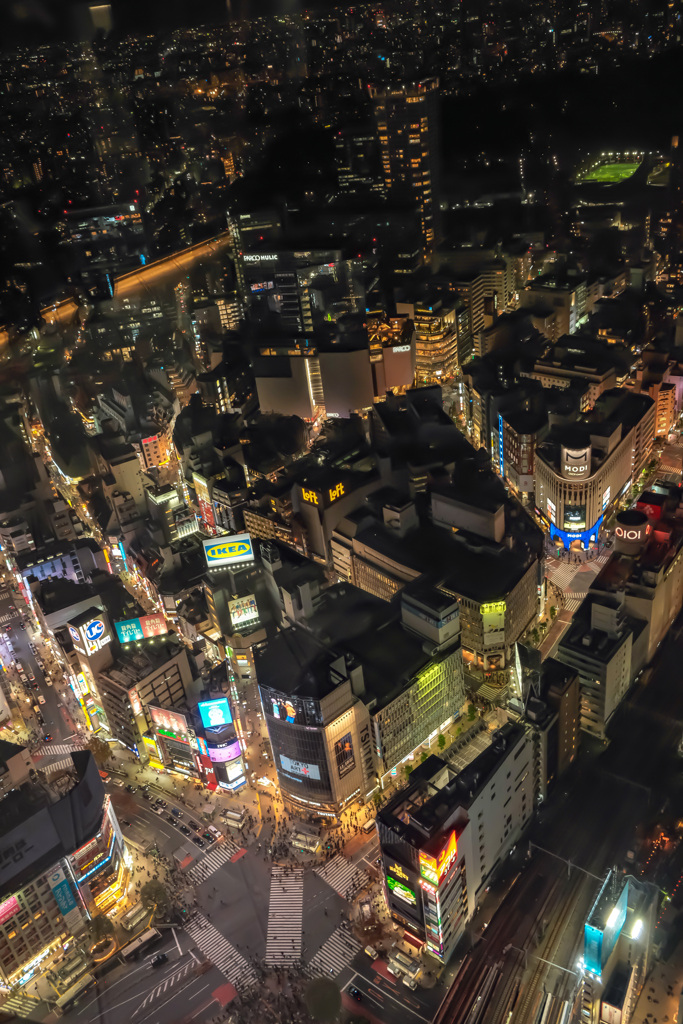 渋谷の夜景