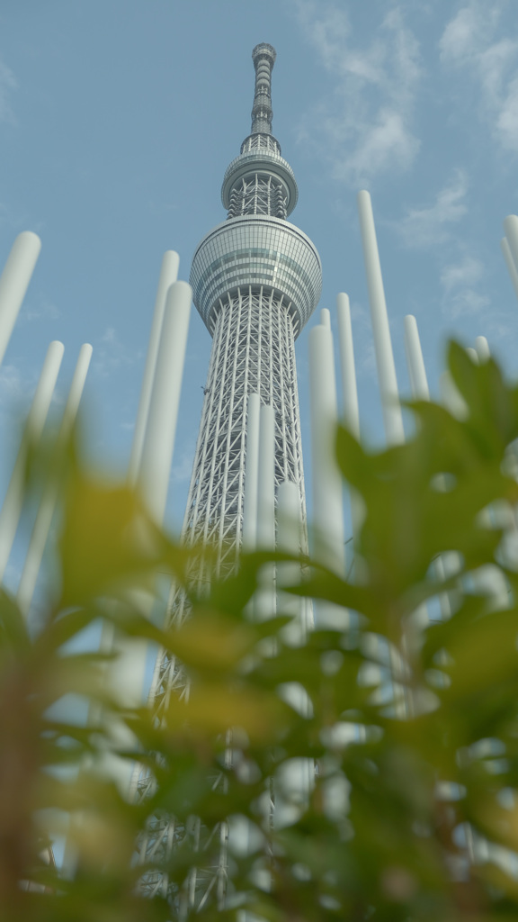 スカイツリー