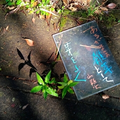 「雑草という草はない」