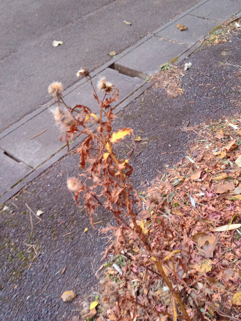 「日常にひそむ特別」４