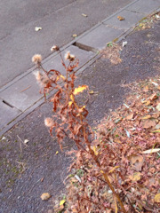 「日常にひそむ特別」4