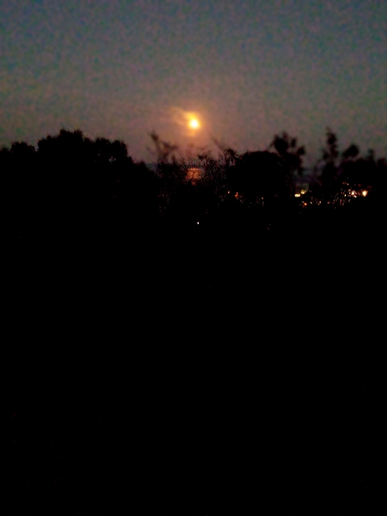 ウルフムーン１お題は「かがやき」