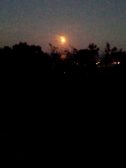 ウルフムーン1お題は「かがやき」