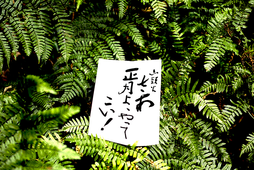 さあ正月よ、やってこい！　山頭火