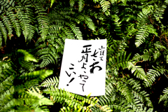 さあ正月よ、やってこい！　山頭火