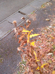 「日常にひそむ特別」3