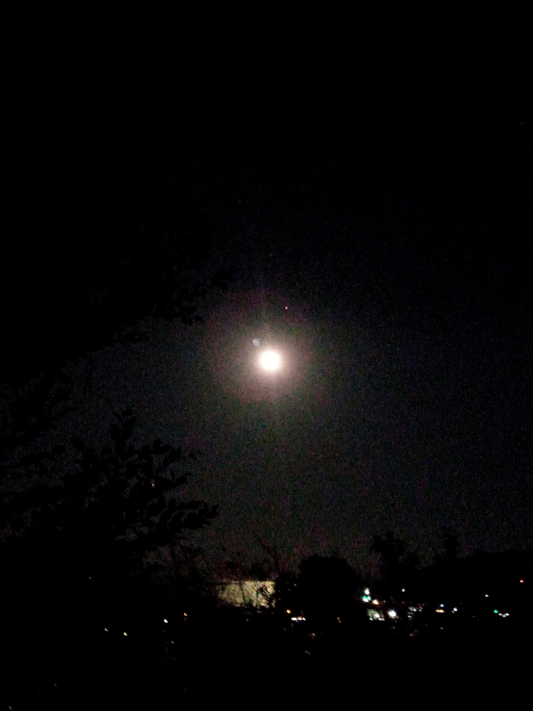 ウルフムーン３