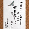 DP2M0678