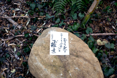 ひとり煮てひとり食べるお雑煮　山頭火