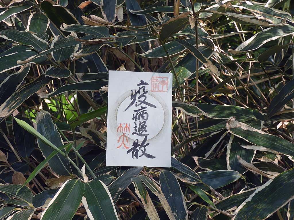 「疫病退散」ささ