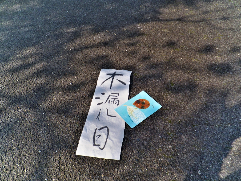 日本語【木漏れ日 (こもれび)】をビジュアル書字にしました