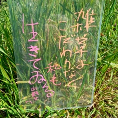 山頭火さん