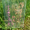 山頭火さん