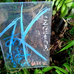 こんなにも/山頭火さん