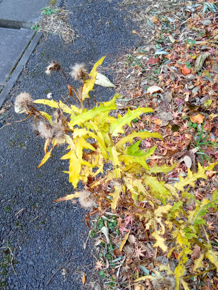 「日常にひそむ特別」１