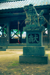 ビルトロックス