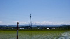 車から見えた風景