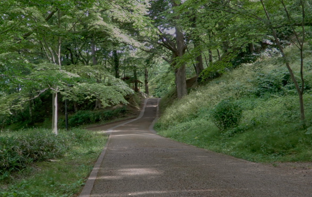 深林の公園