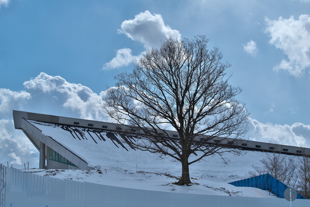 老兵は死なず、