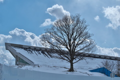 老兵は死なず、