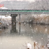 河に降る雪