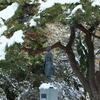 蛍雪の像かな？