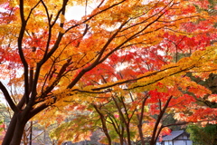 千秋公園（秋田市）にて
