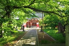初夏の神社にて