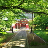 初夏の神社にて