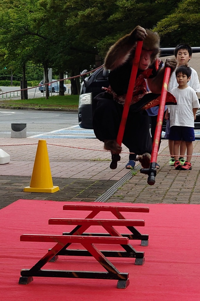ヤー！
