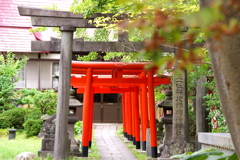 秋の気配