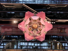 大花時計開花の瞬間6