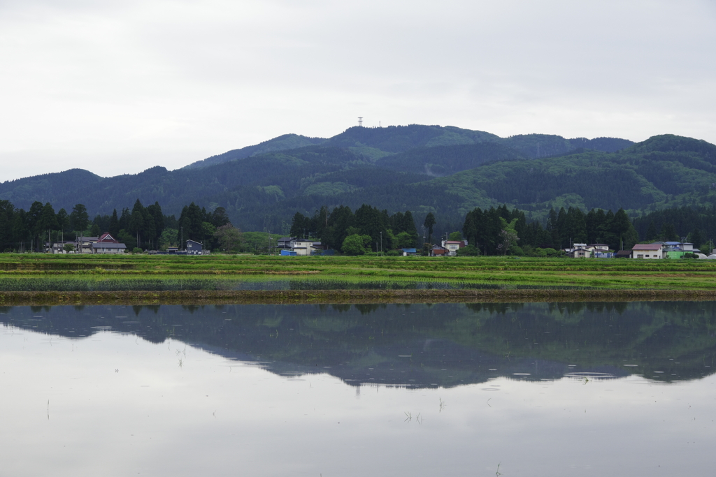 遠くに高尾山を望む