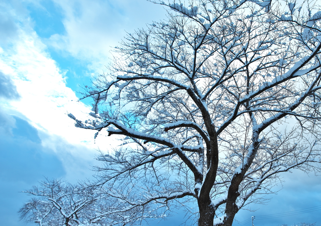 雪晴間