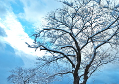 雪晴間
