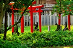 千秋公園を行けば