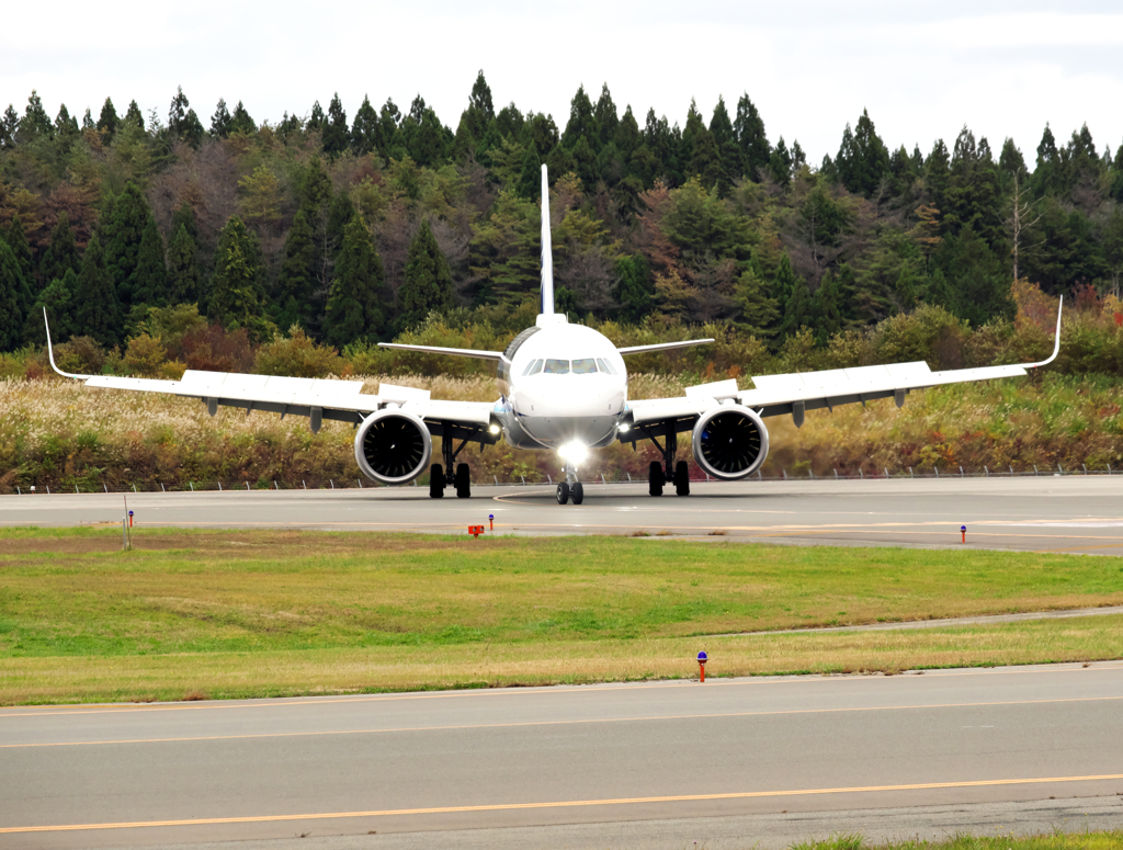 えらい力入ってますけど…