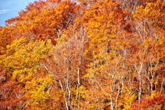 森吉山に行ってきたよ